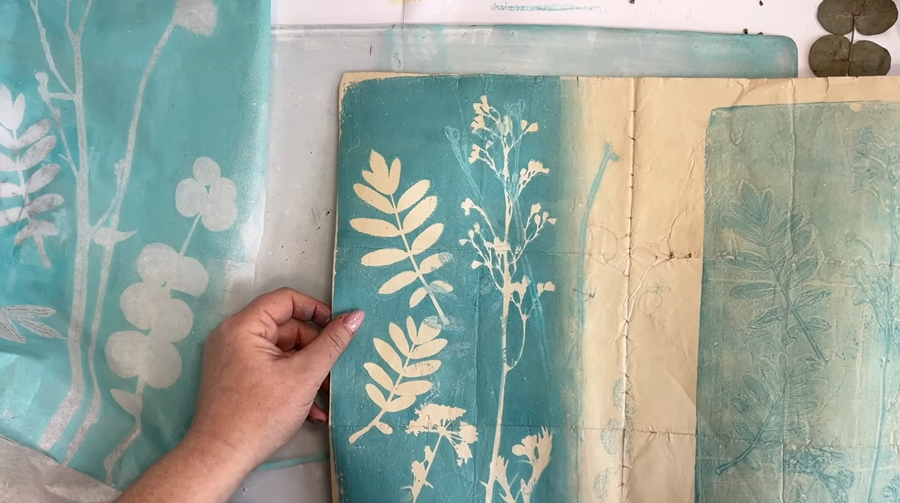 Descrição da imagem 2