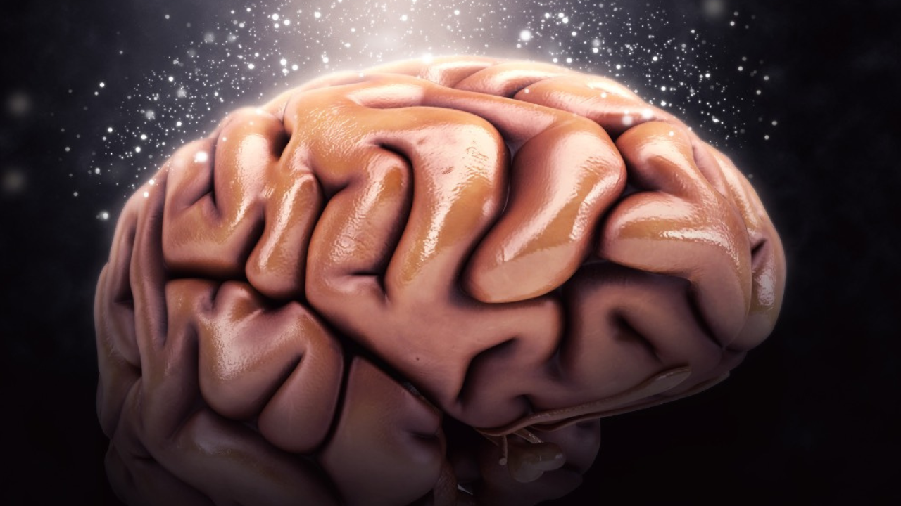 Realistic 3D rendering of a human brain showing detailed folds and structure on a black background.