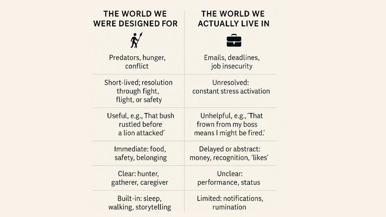 Comparison chart showing differences between the world we were designed for (predators, hunger, conflict) and the modern world (emails, deadlines, job insecurity), highlighting how ancient stress responses are misaligned with today’s symbolic threats.