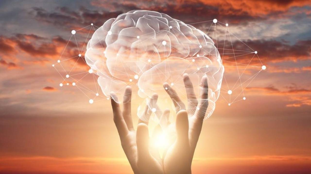 A brain is held in the air