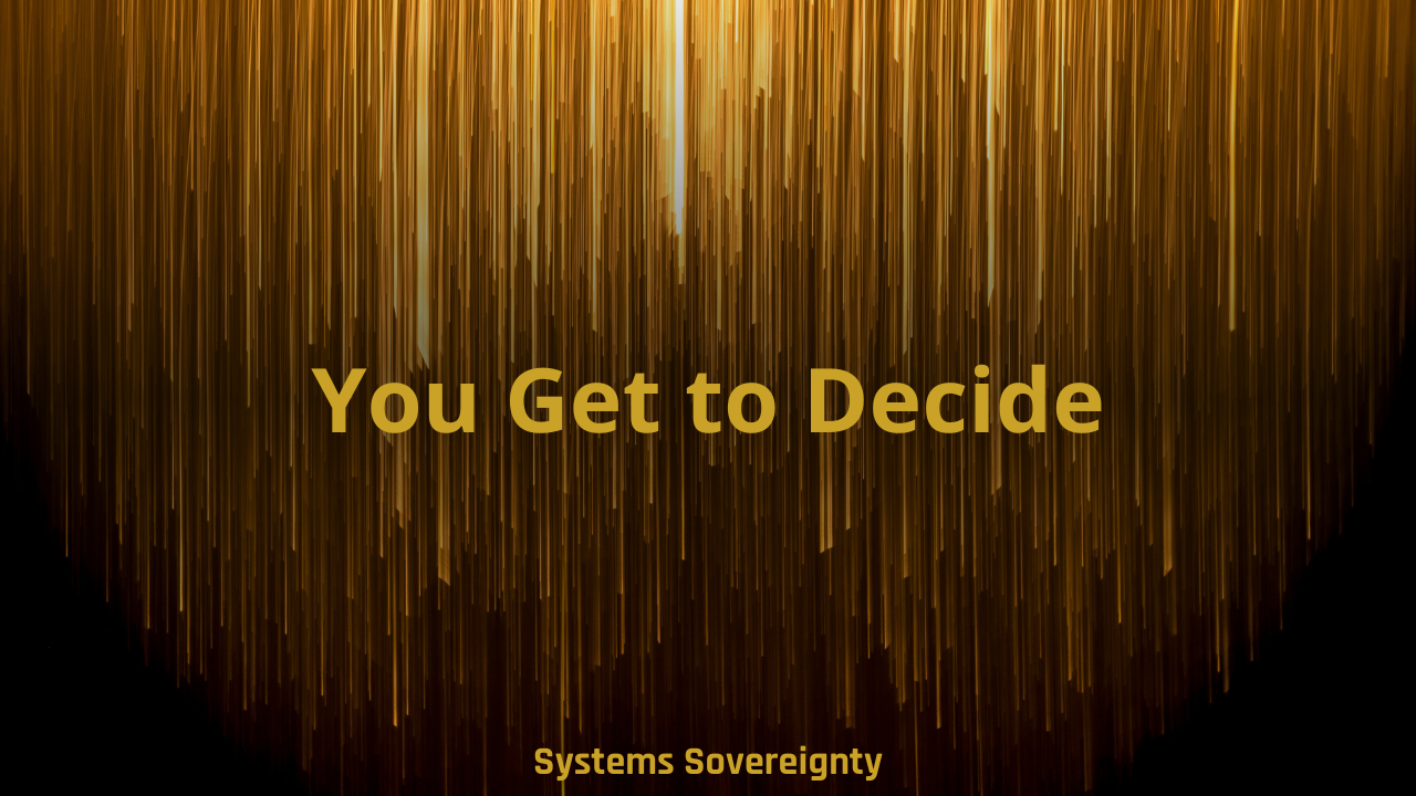 Black background with gold rain effect and gold text reading "You Get to Decide" with Systems Sovereignty branding at bottom