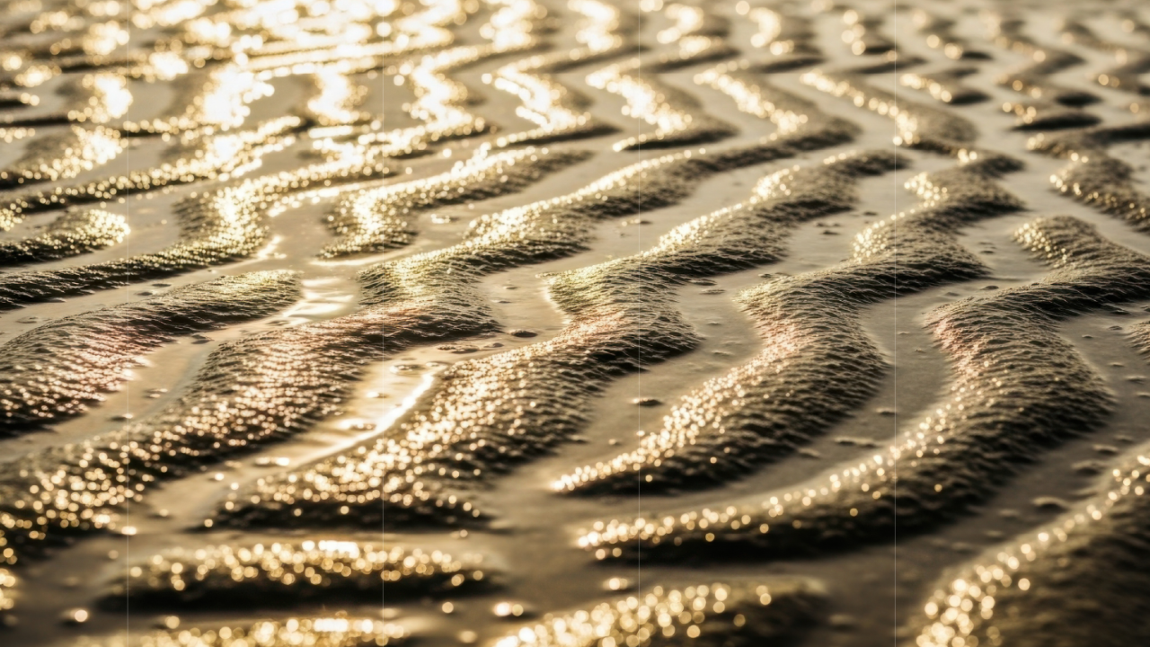 Ripples on sand with golden sunlight