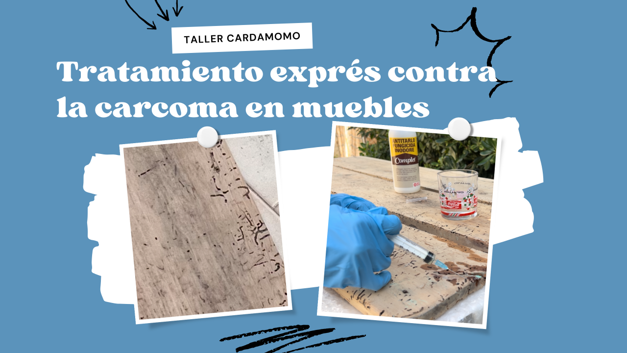 Mueble de madera tratado contra carcoma con jeringa e insecticida