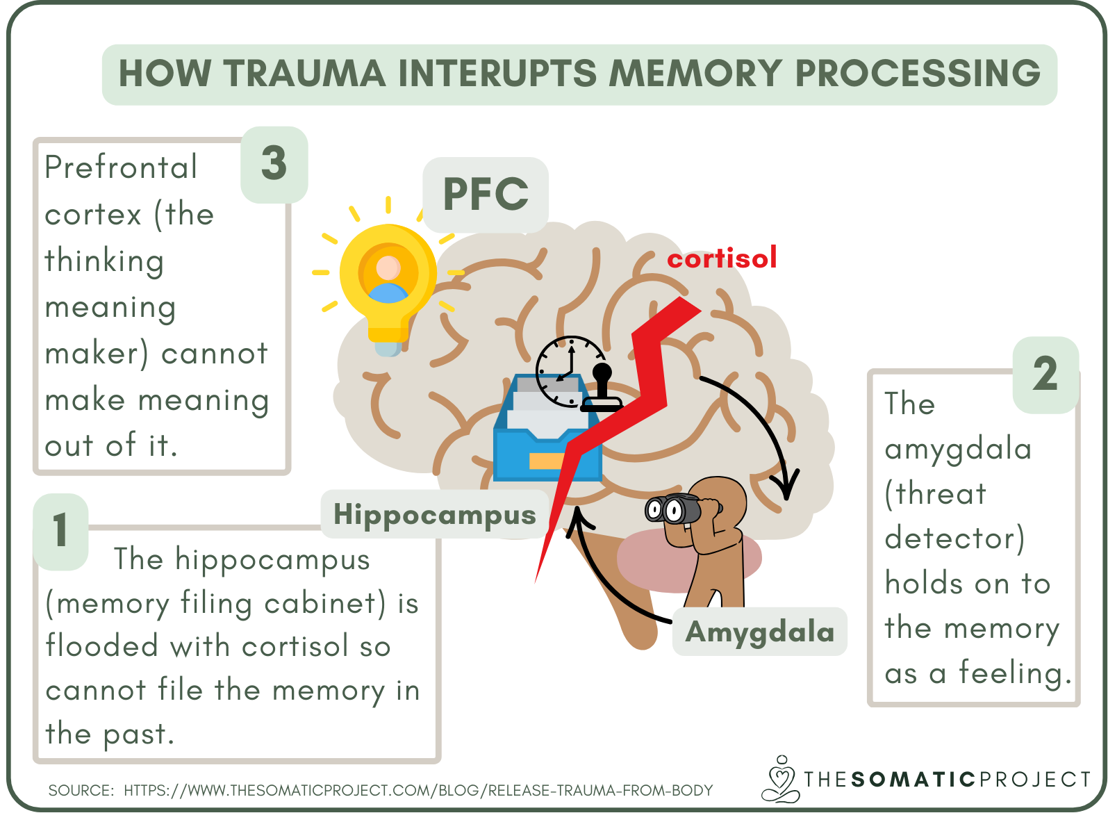 Trauma and memory processing diagram