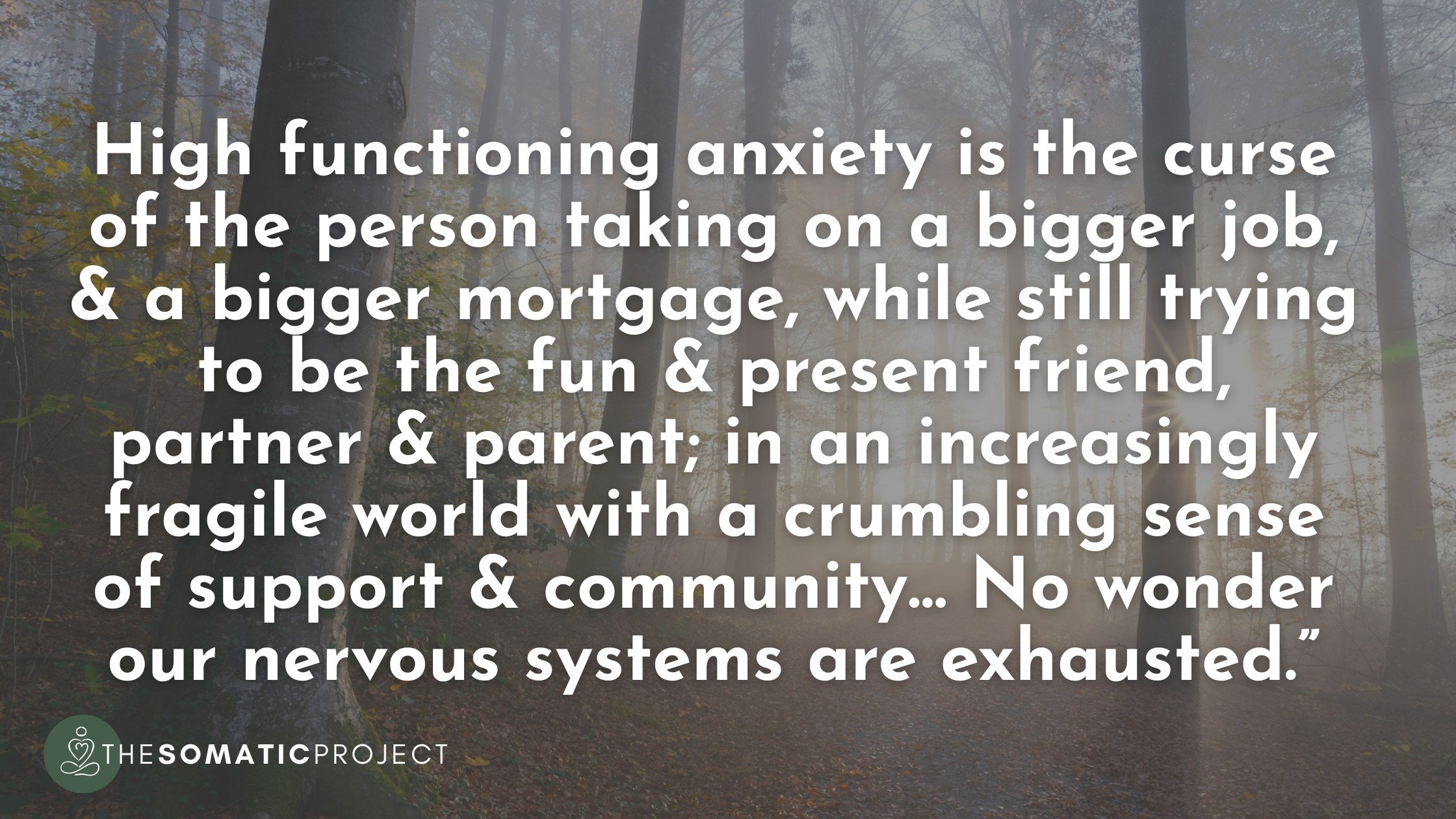 High functioning anxiety and nervous system regulation