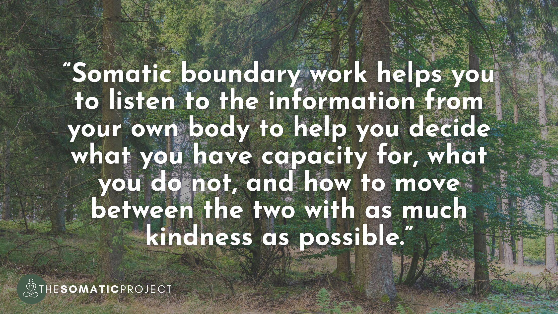 somatic boundaries. boundary work trauma healing. quote.