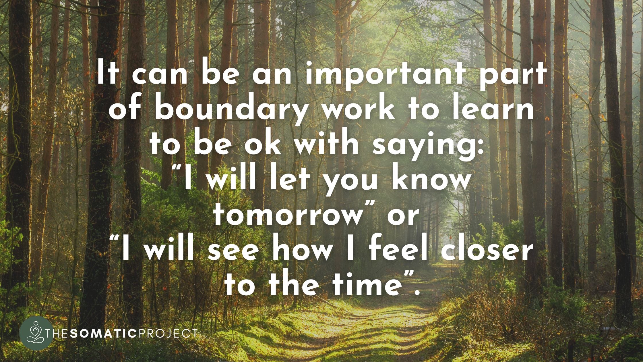 somatic boundaries. boundary work trauma healing. quote.