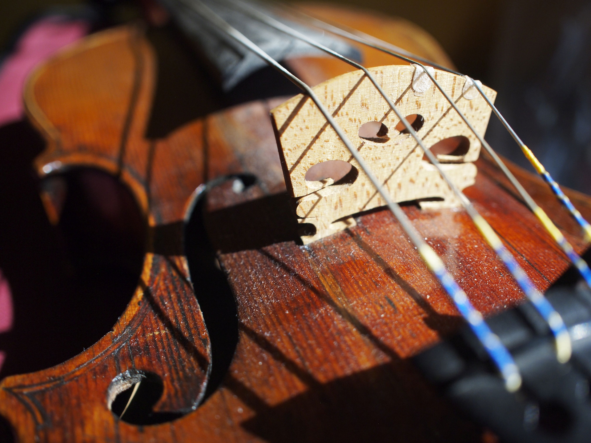 beginner fiddle tips