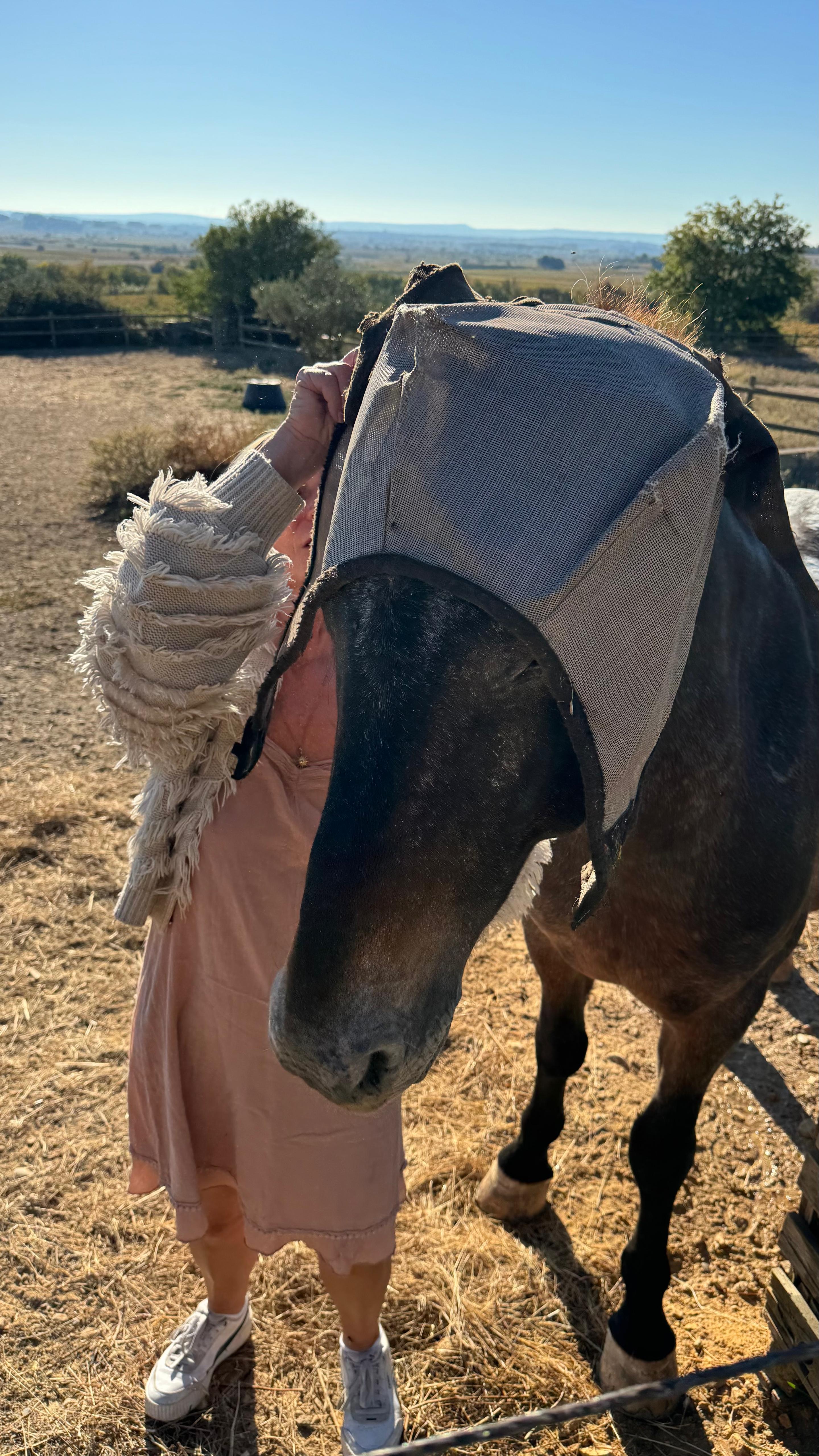 Alex mit Pferd auf einer Koppel beim Housesitting in Europa