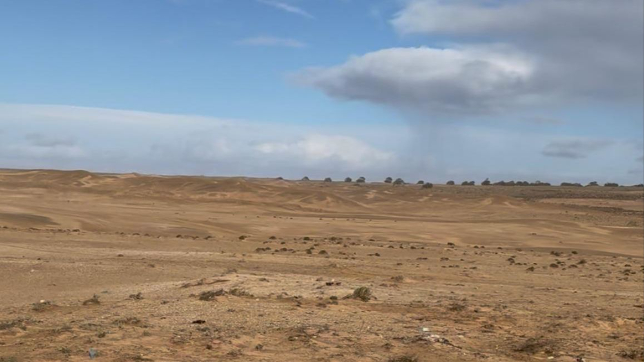 Palmen im Hintergrund, Dünen und Atlantikküste bei Tifnit südlich von Agadir – Kapitel 14 des MilesMeetsMoments Reisetagebuchs.