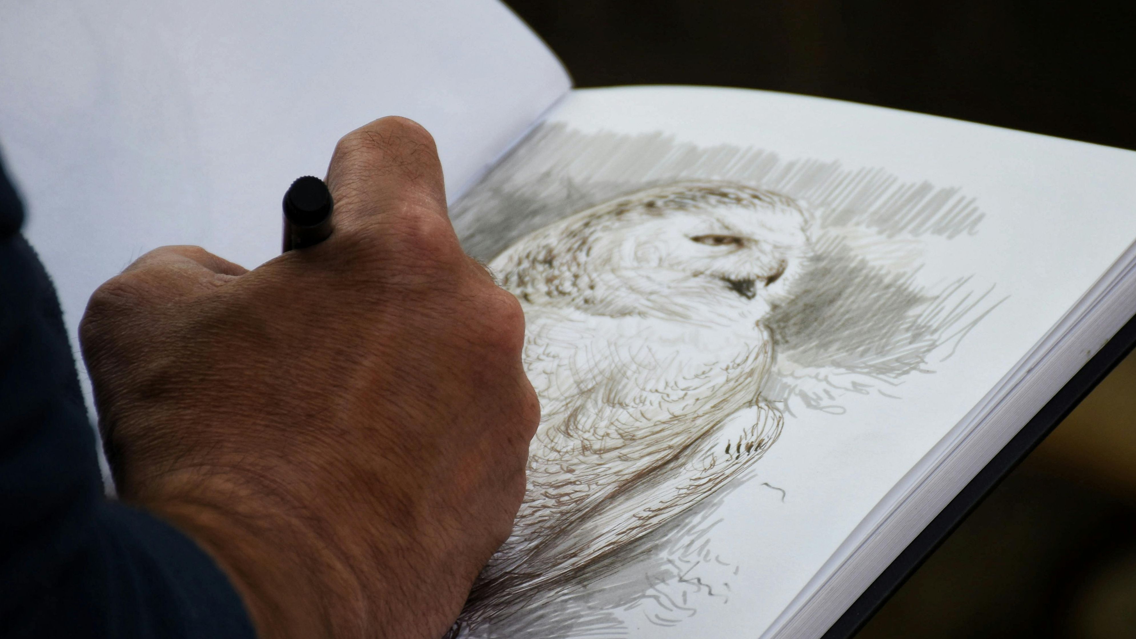 Erreurs fréquentes des débutants en dessin – méthode Dessiner & Peindre