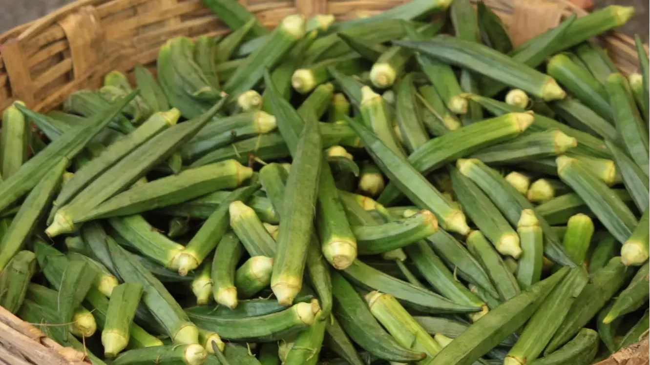 okra in a basket