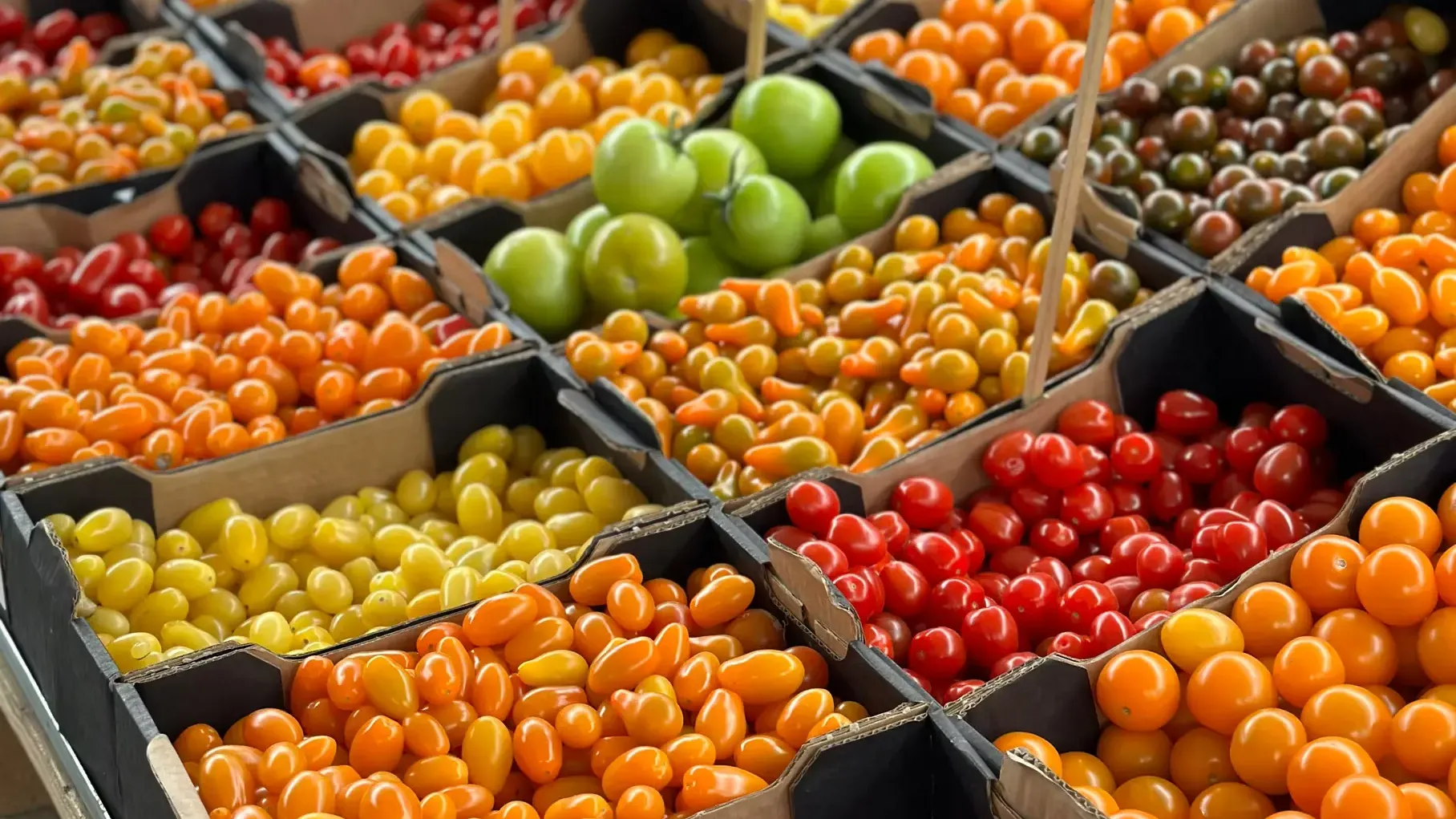 Tomatoes at a market