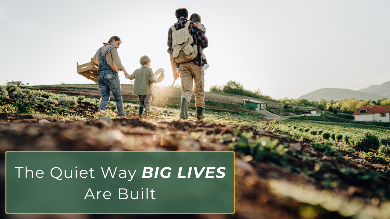 A lush, layered garden with many different plants growing together, symbolizing multipassionate growth, interconnected skills, and slow, sustainable success.