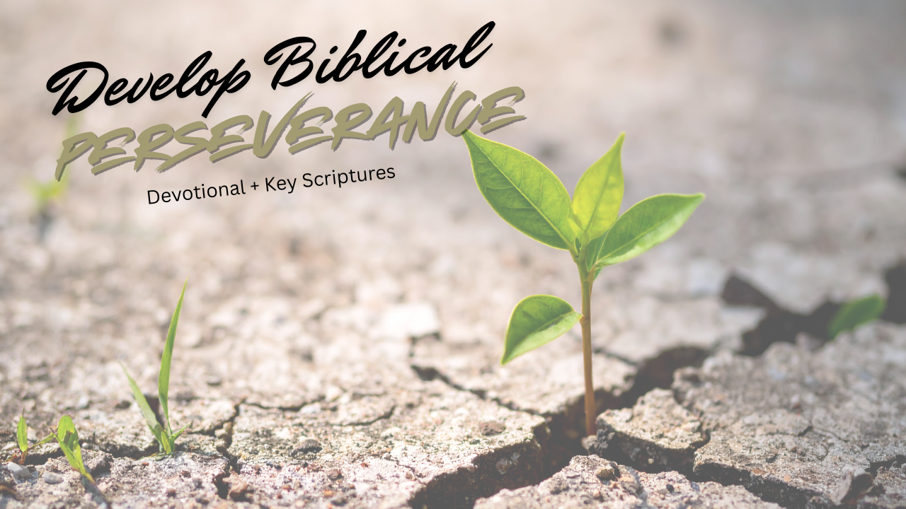 biblical perseverance devotional