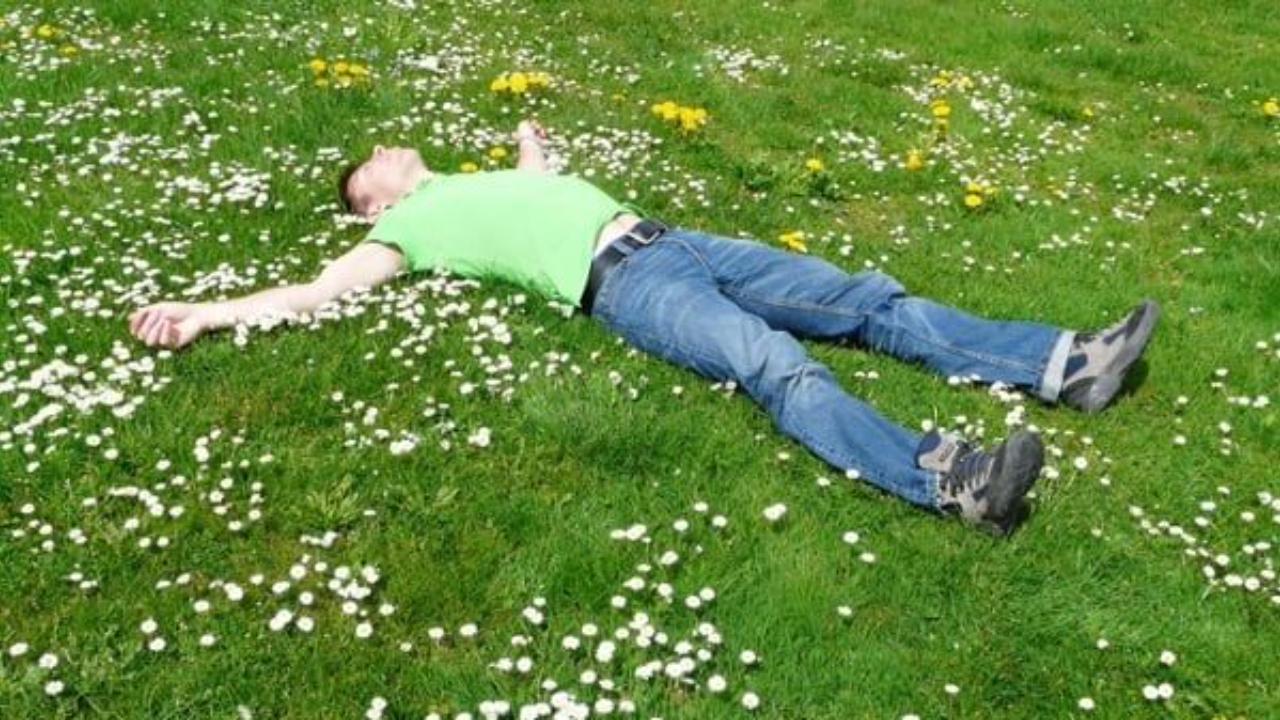 cibi favoriscono sonno