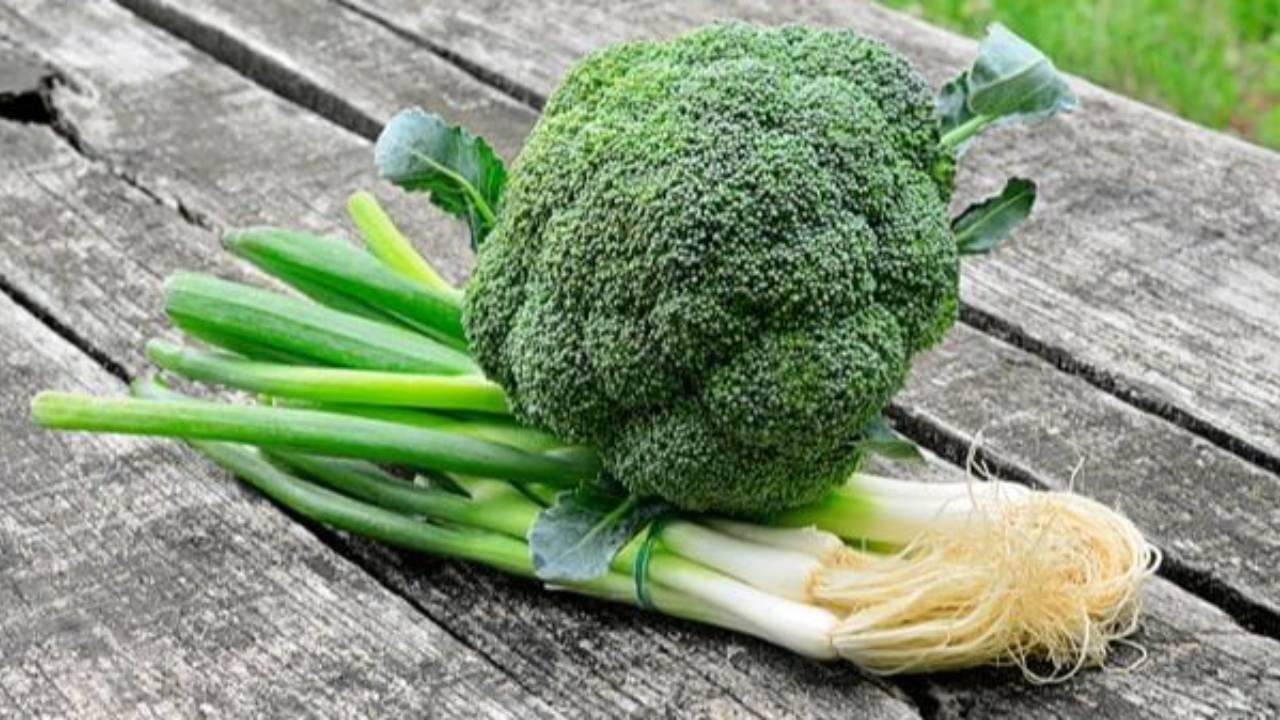 I-due-supercibi-che-attivano-la-proteina-della-longevità