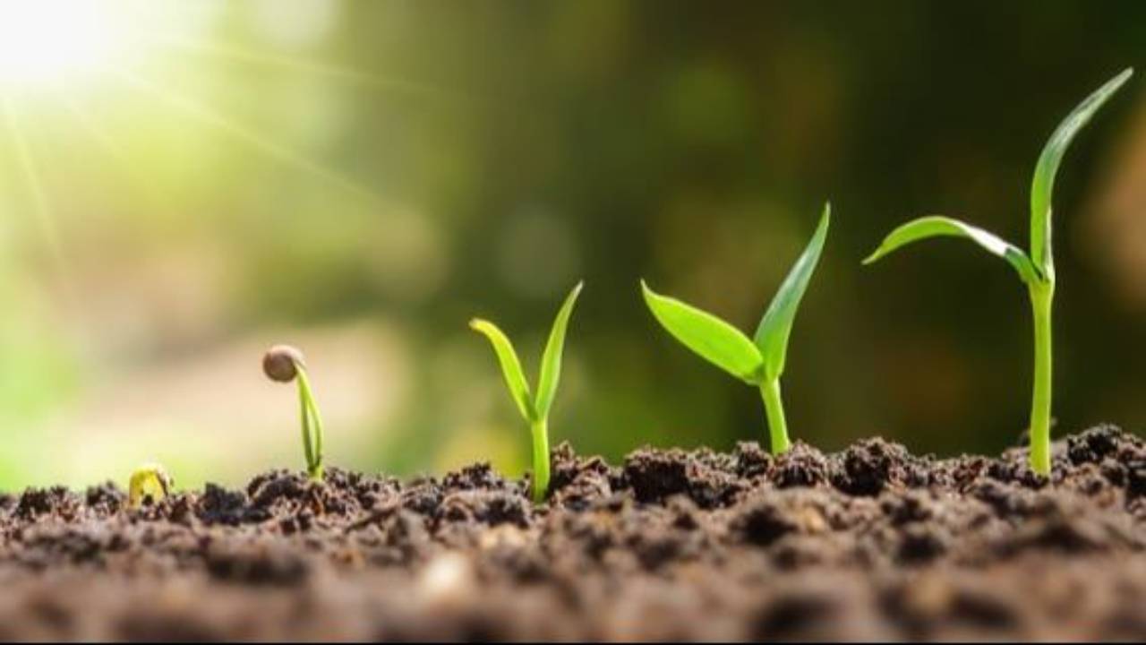 La crescita è uno dei 6 bisogni universali nella teoria psicologica di Madanes e Robbins