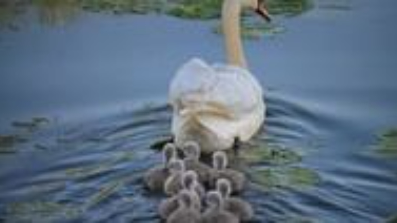 Prendersi cura di se stessi per vivere meglio