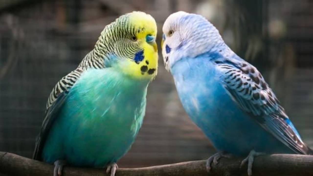 migliorare rapporto di coppia