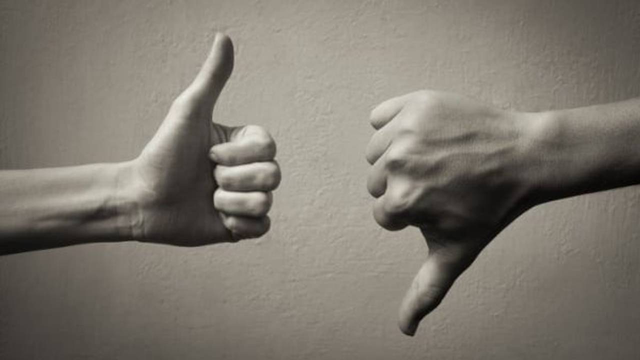 Imparare ad amare le contraddizioni interne