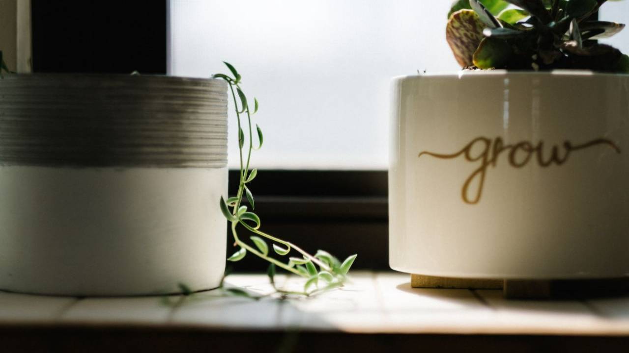 Esiste un corso di crescita personale gratis? Ecco le possibilità per