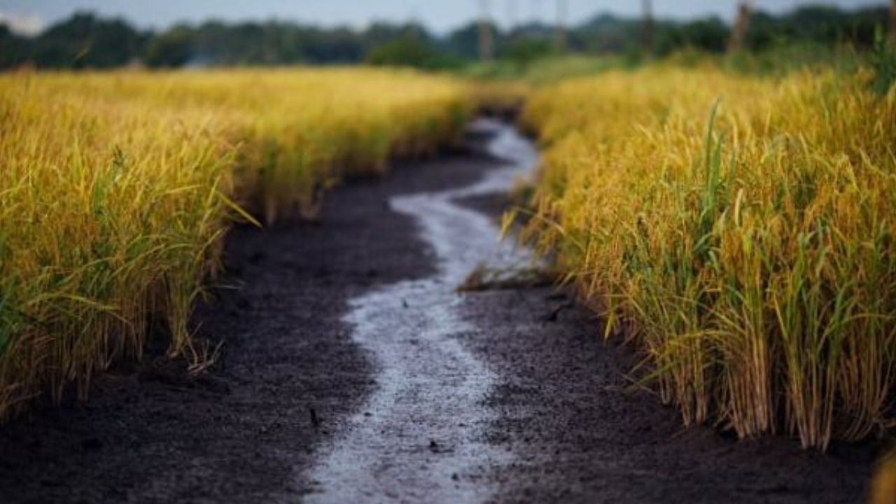 si-puo-smettere-di-essere-infelici