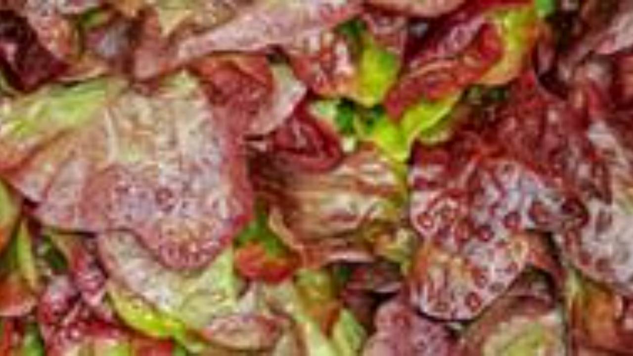 Flavonoidi: cosa sono e in quali alimenti sono contenuti