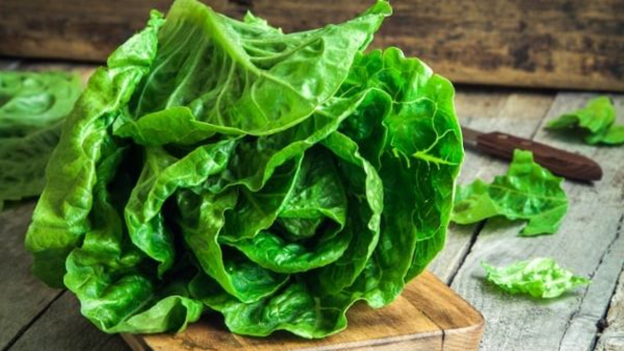 Le verdure a foglia verde, come la lattuga, sono un alimento ricco di vitamina K1