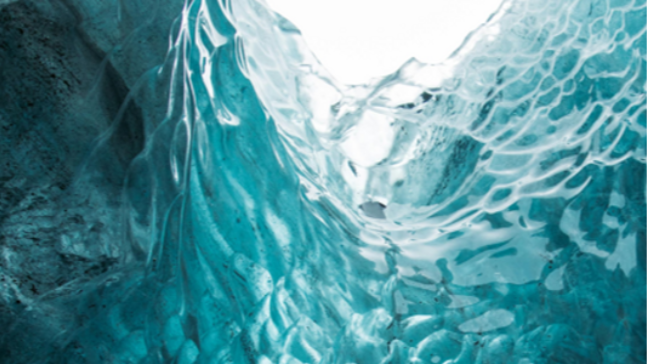 Signs Your Clients Have a Freeze Response in Trauma