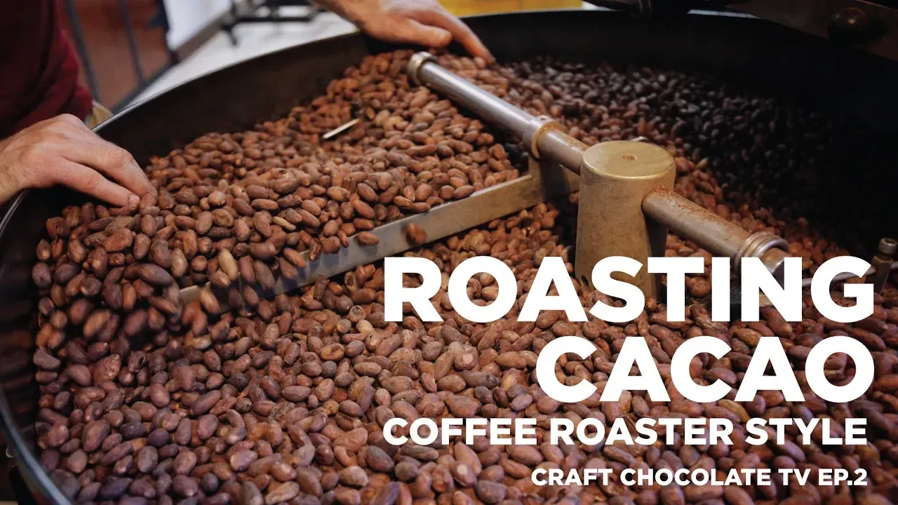 image of cooling tray of cacao beans with text reading: Roasting Cacao - Coffee Roaster Style Craft Chocolate TV ep2