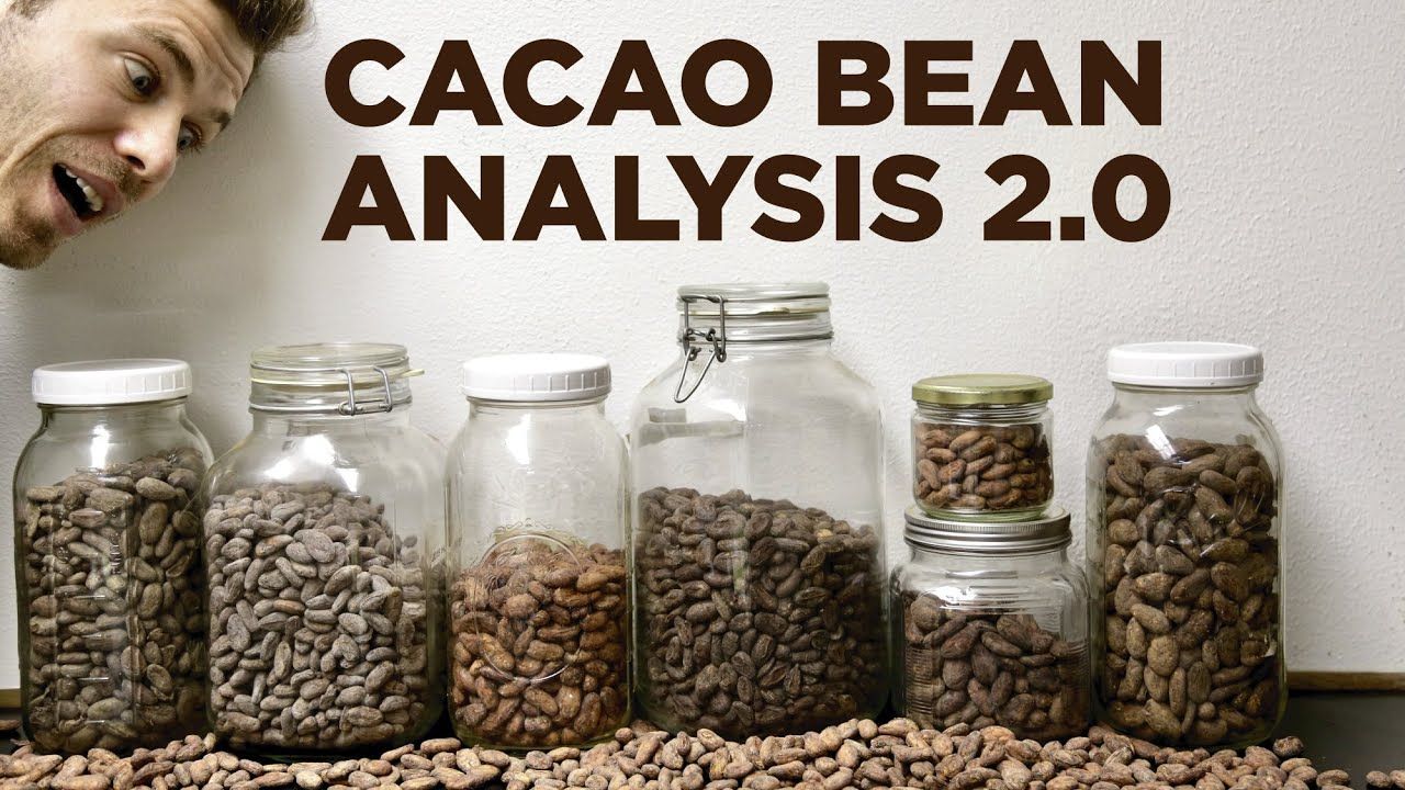 image of man looking at jars full of cacao beans with text reading "Cacao Bean Analysis 2.0"