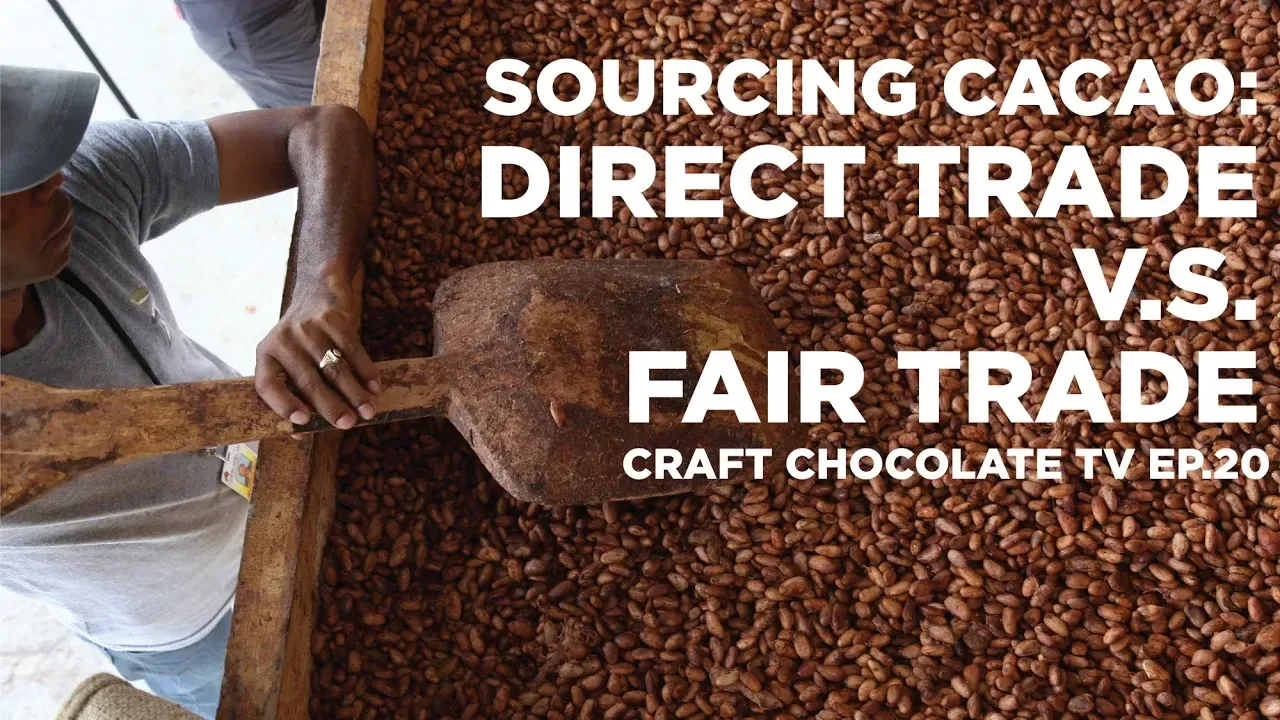 Image of cacao farmer plunging a shovel into a box of fermented cacao beans with text reading "Sourcing Cacao: Direct Trade vs Fair Trade"