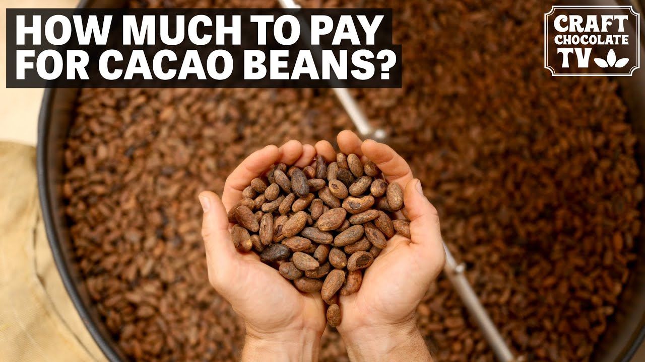Image of hands holding cacao beans with text reading "How much to pay for cacao beans?"