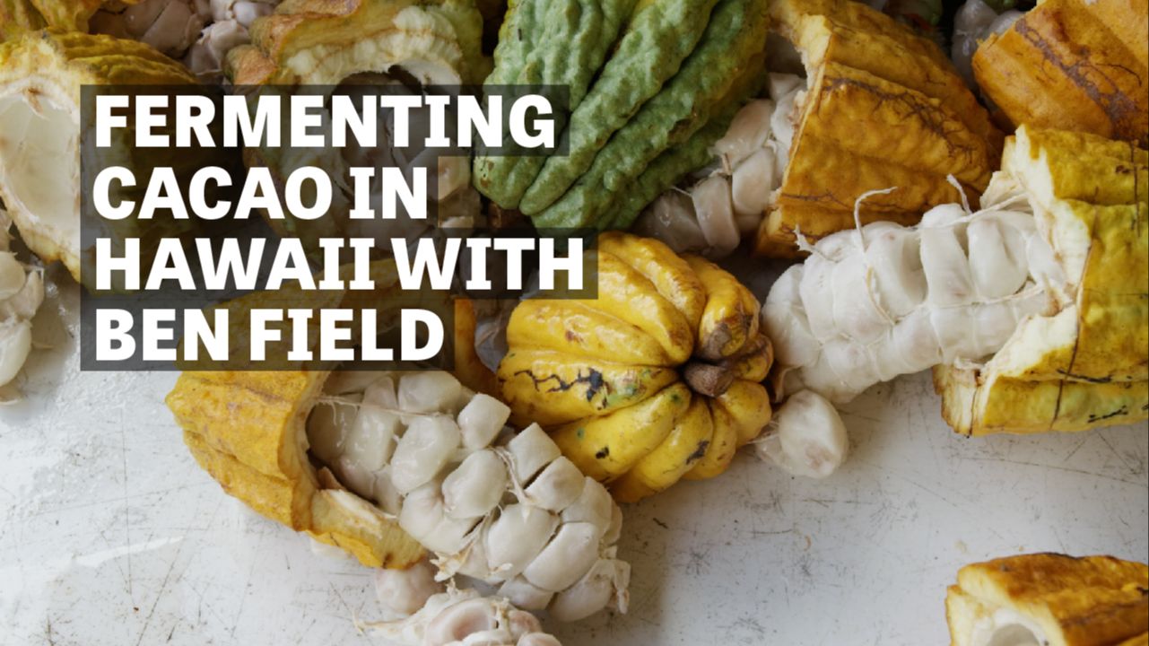Image of cracked cacao pods with text reading "Fermenting Cacao In Hawaii With Ben Field". 
