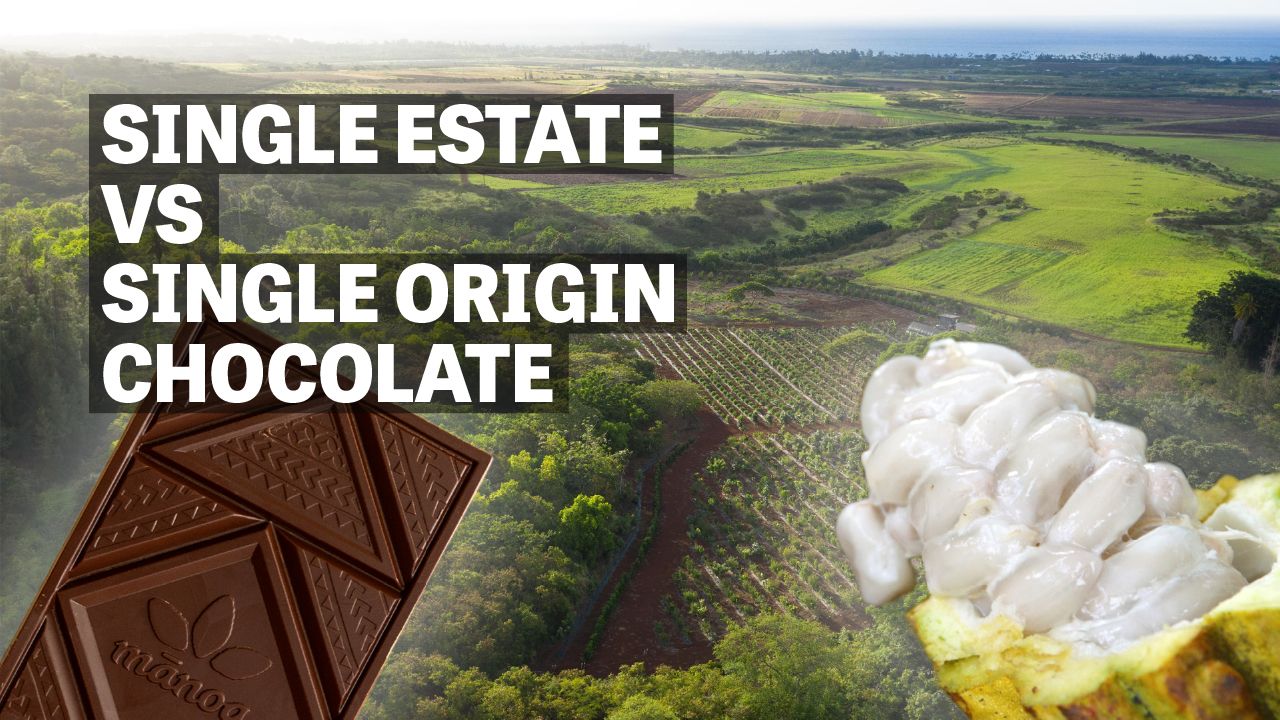 Image of chocolate bar and cracked cacao pod over aerial photo of cacao orchard with text reading "Single Estate Vs Single Origin Chocolate". 