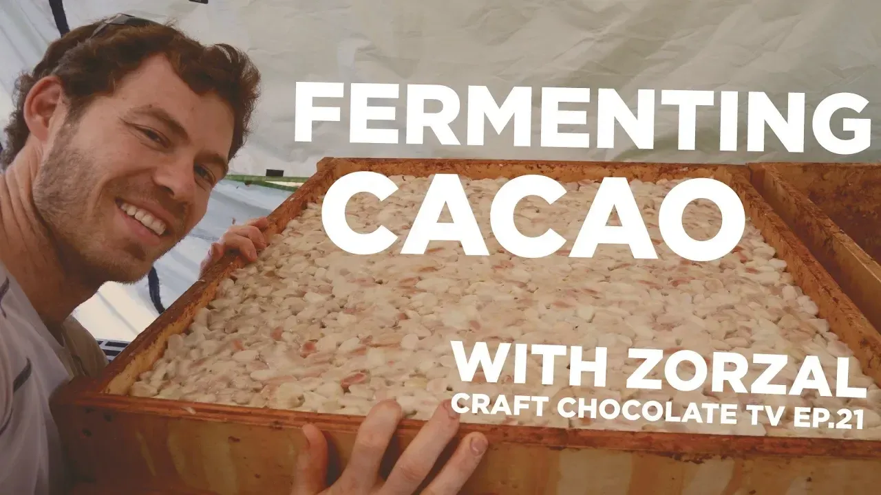 Image of man smiling beside fermentation box full of cacao seeds with text reading "Fermenting Cacao With Zorzal Craft Chocolate"