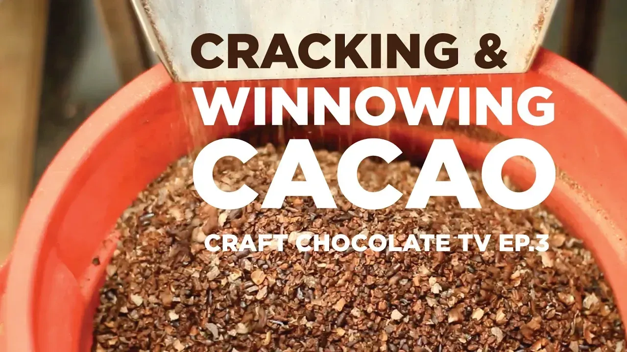 image of bucket of crushed cacao seeds with text reading "Cracking & Winnowing Cacao - Craft Chocolate TV ep3"