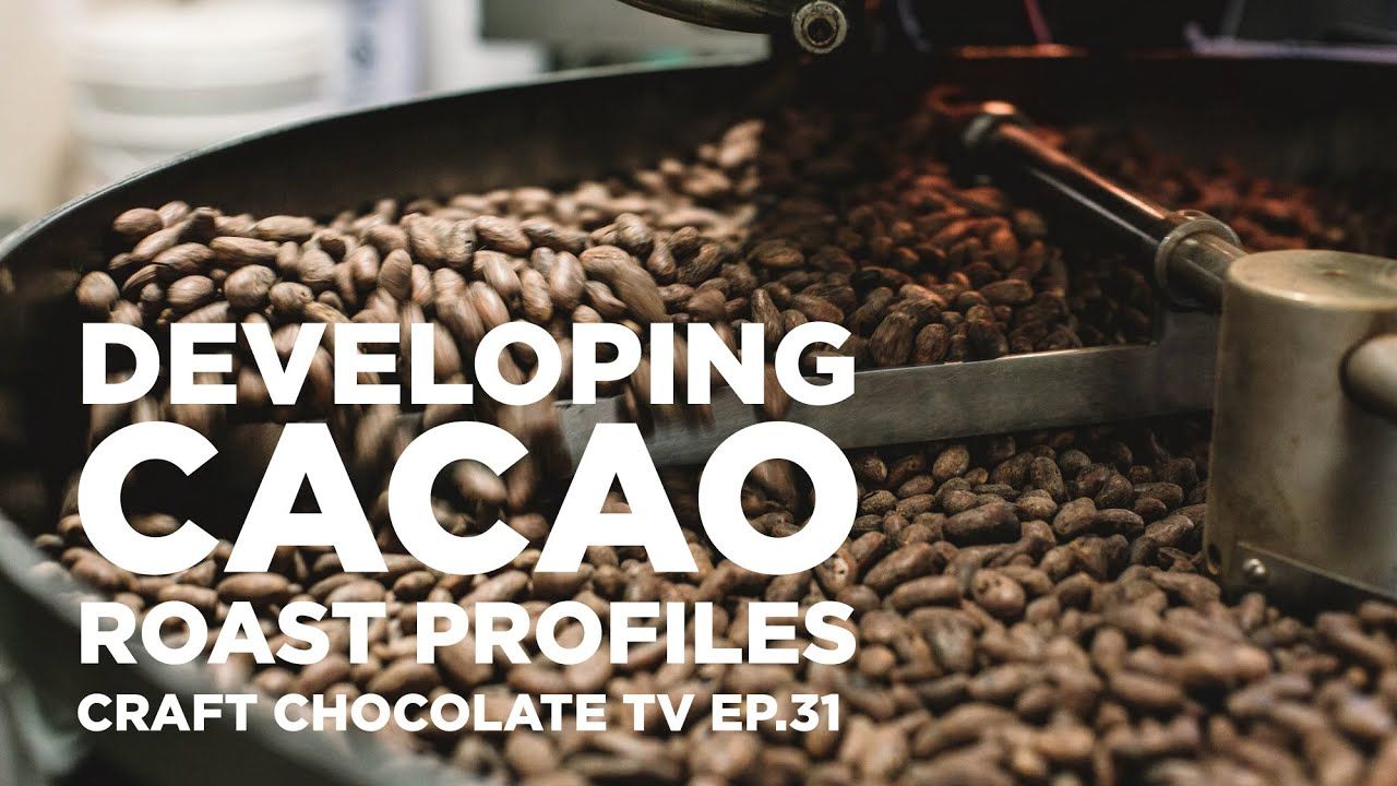 Image of cacao beans in roaster cooling tray with text reading "Developing Cacao Roast Profiles"