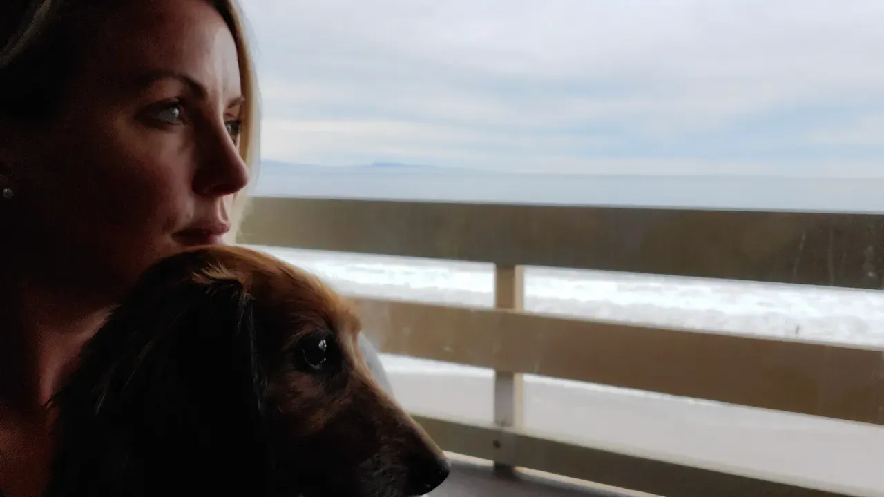 Contemplating Divorce