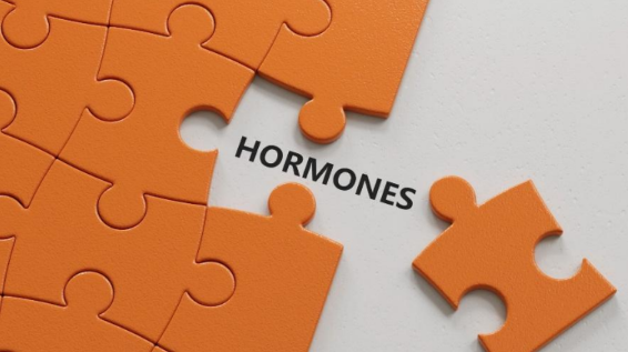 Hormones puzzle visual