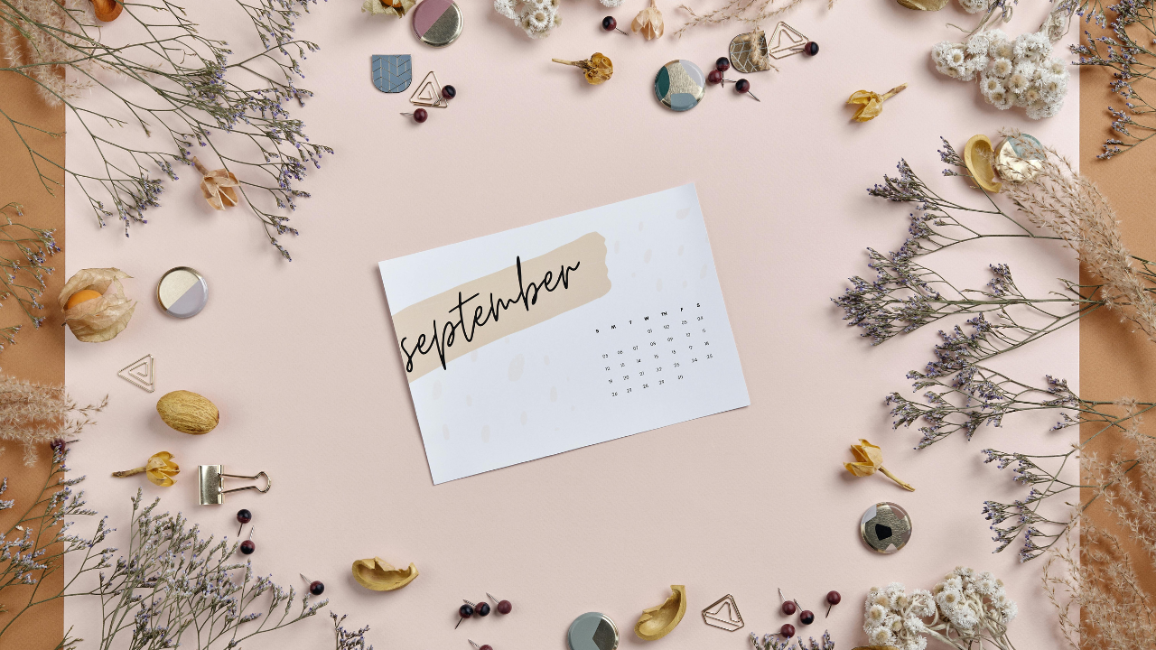 advice-only planner, Calgary