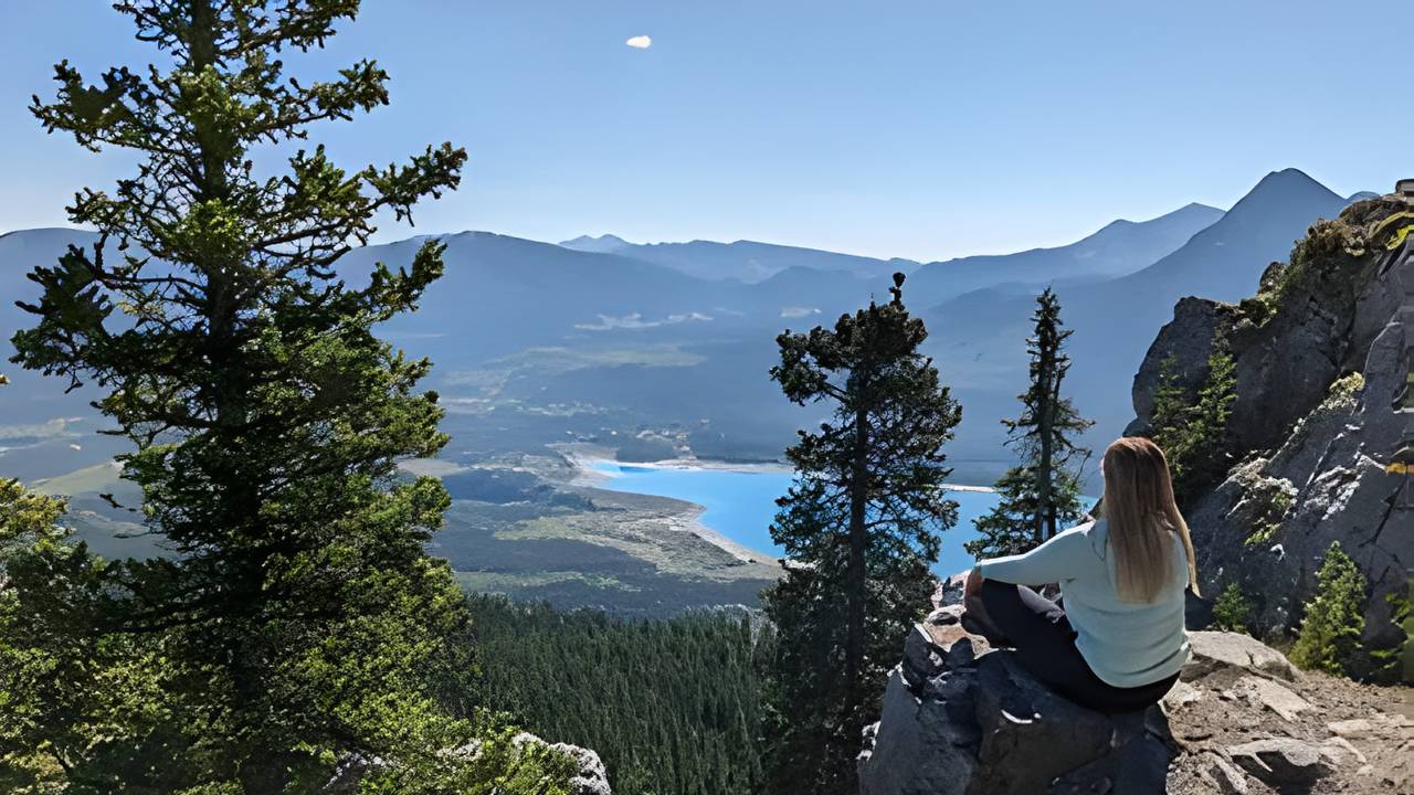 advice-only planner, Calgary