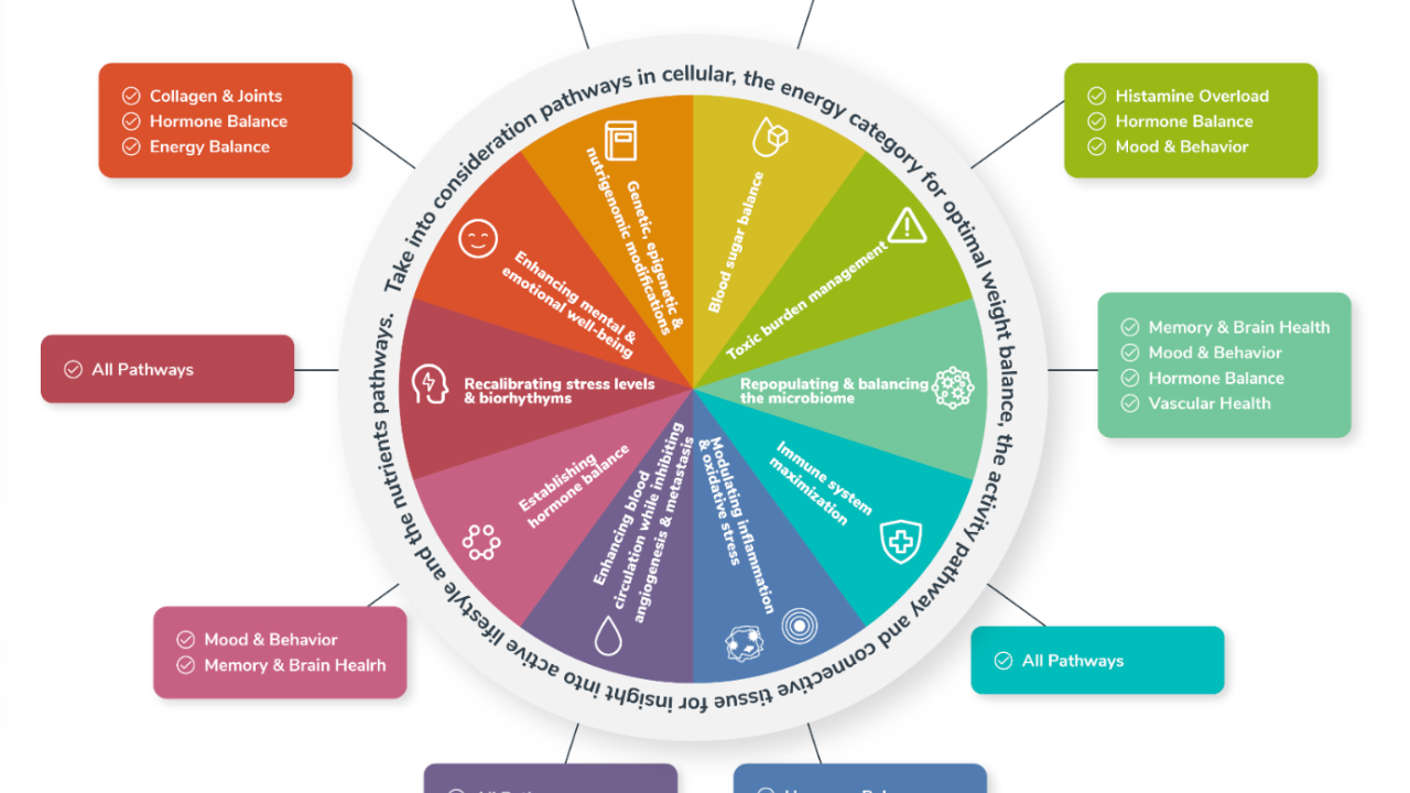 The Terrain Ten categories
