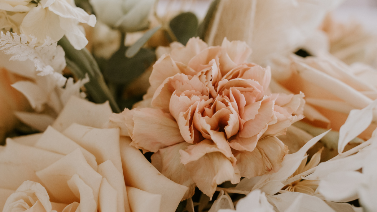 Wedding Time With Jenna - Welcome!