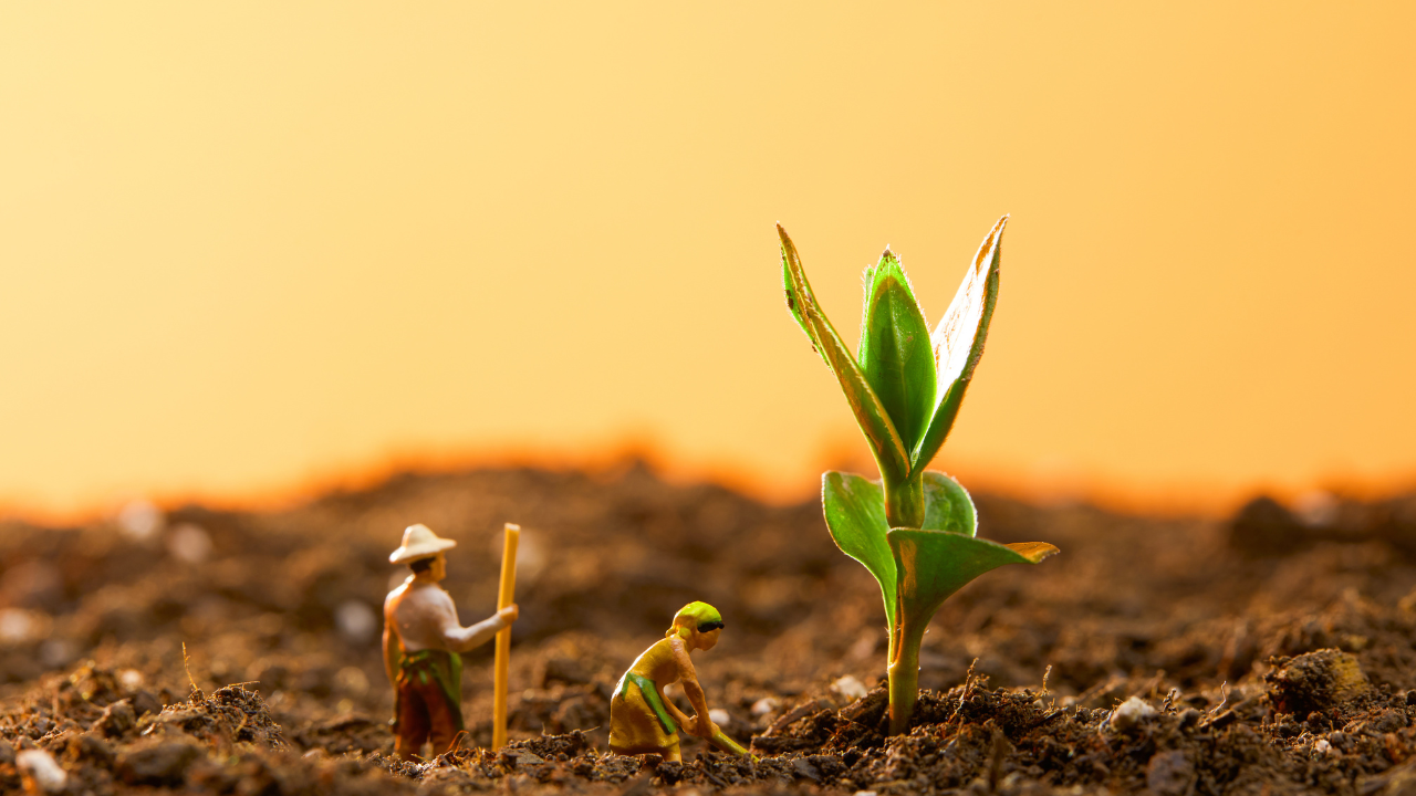 Small toy farmers in the dirt next to a sprouted plant