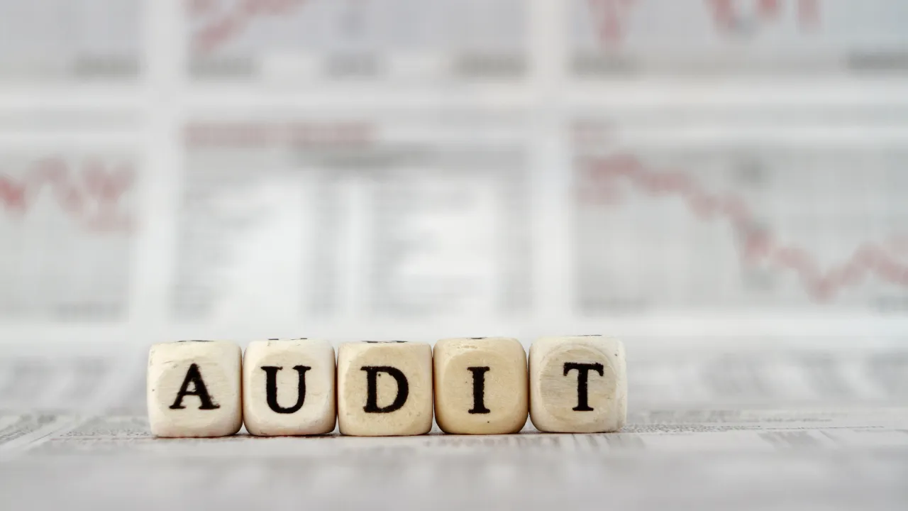 L’audit dei progetti finanziati