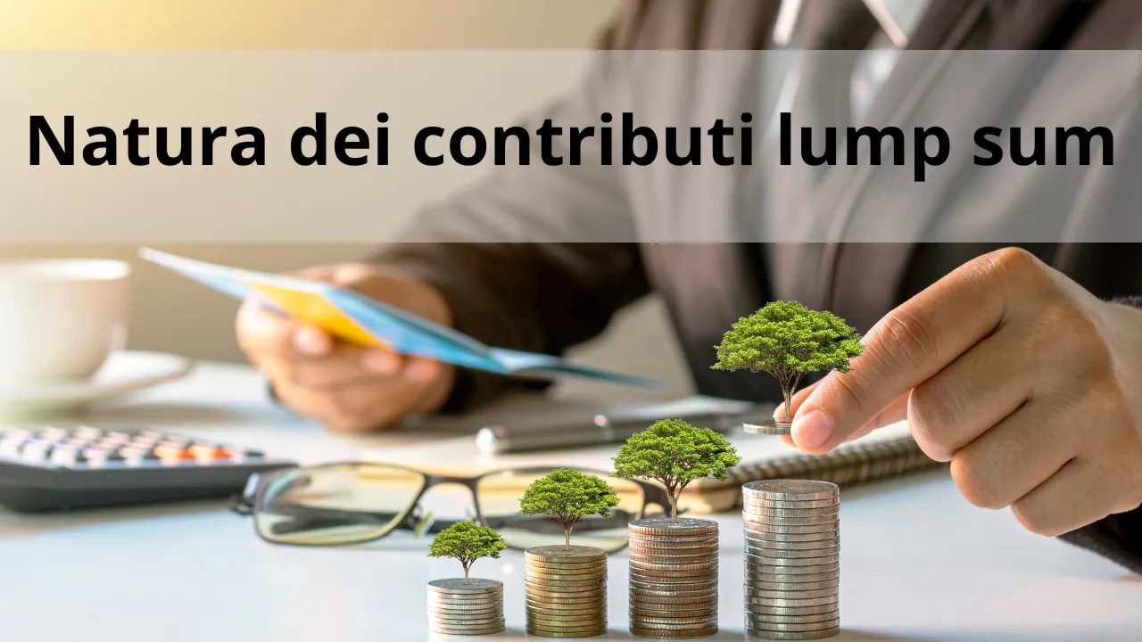 Natura dei contributi lump sum