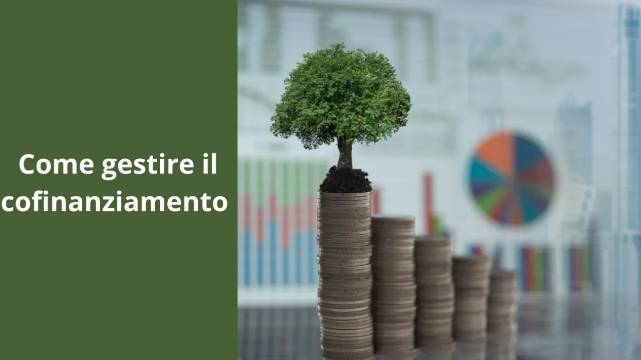 Come gestire il cofinanziamento