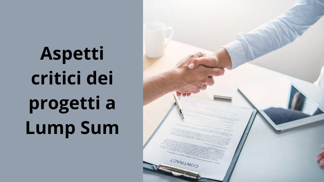 Aspetti critici dei progetti a Lump Sum